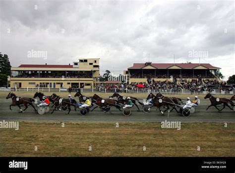 harness racing nz fields|Fields .